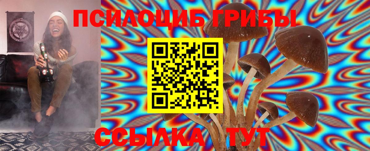 Лесозаводск  Псилоцибиновые грибы MAGIC MUSHROOMS  Вход с VPN 